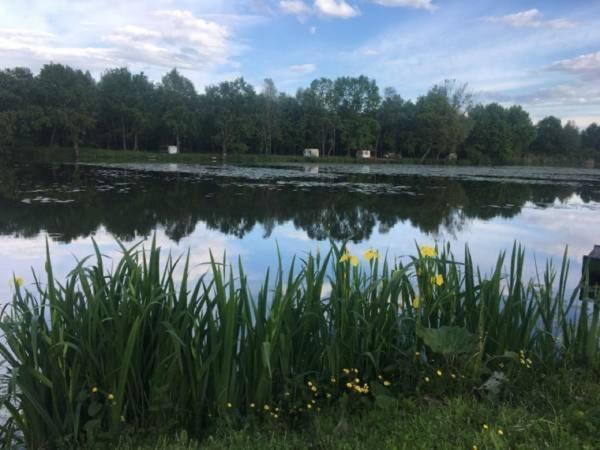 Pokoje Kama Villa Zator Exteriör bild