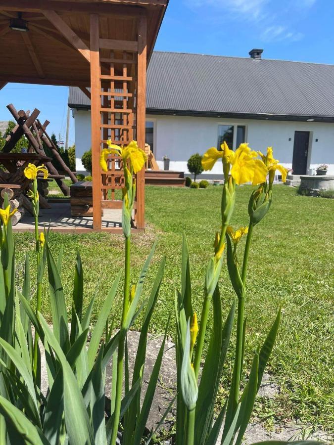 Pokoje Kama Villa Zator Exteriör bild